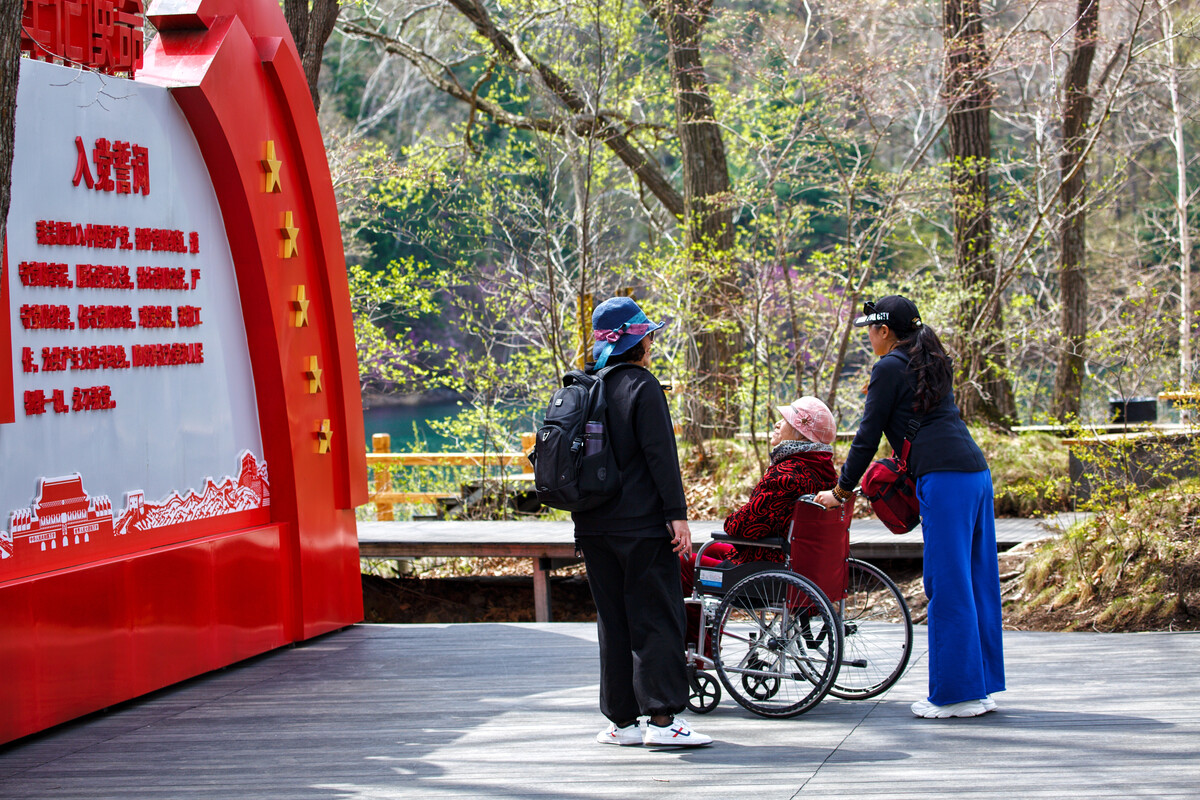 我想给老人买一个助听器 老年人的耳朵不太好 应该怎么搭配?